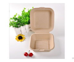 Biodegradable Tableware