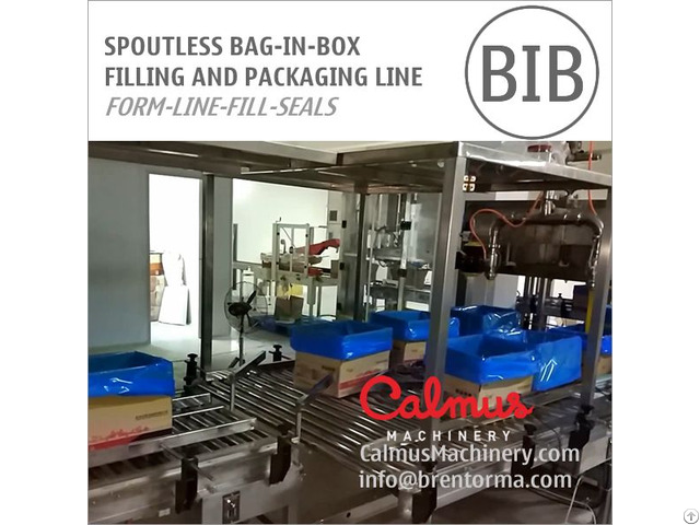 Spoutless Open Top Bag In Box Filling And Packaging Line