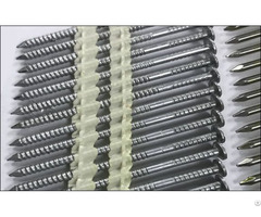 Hdg Hot Dipped Galvanized Nails On Strips