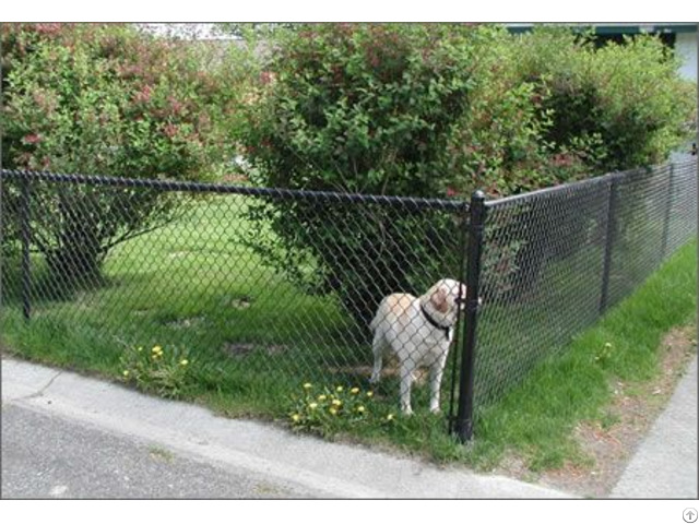 Chain Link Pet Mesh Panels For Dog Run Fencing And Kennels