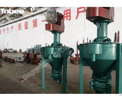 Tobee® Af Vertical Froth Slurry Pump Is Shaft Configuration