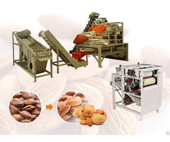 Almond Shelling Production Line