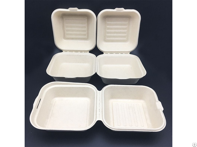 Biodegradable Tableware Food Packaging Lunch Box