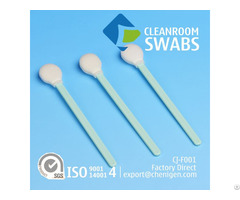 Cj F001 Polyurethane Foam Cleanroom Esd Swab