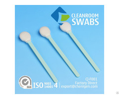 Cj F001 Polyurethane Foam Cleanroom Esd Swab