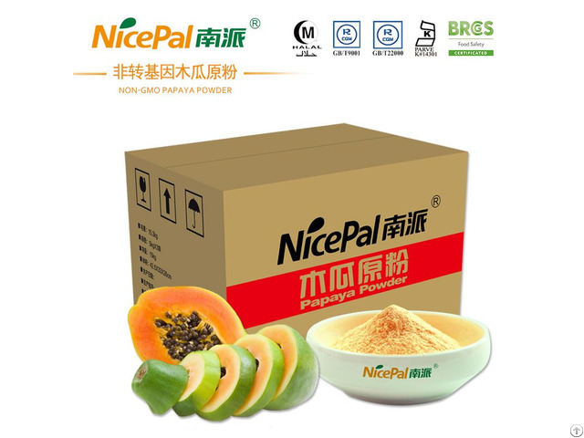 Papaya Powder For Food And Beverage