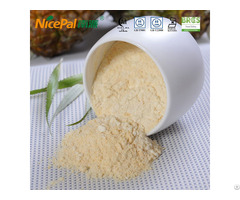 Pineapple Powder For Food Ingredients