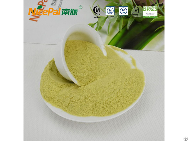 Balsam Pear Powder For Food Ingredients