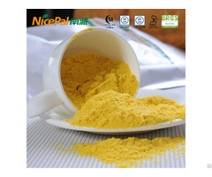 Pumpkin Powder For Food And Beverage