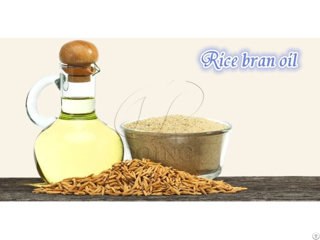 Rice Bran Oil Processing Pretreatment Machine