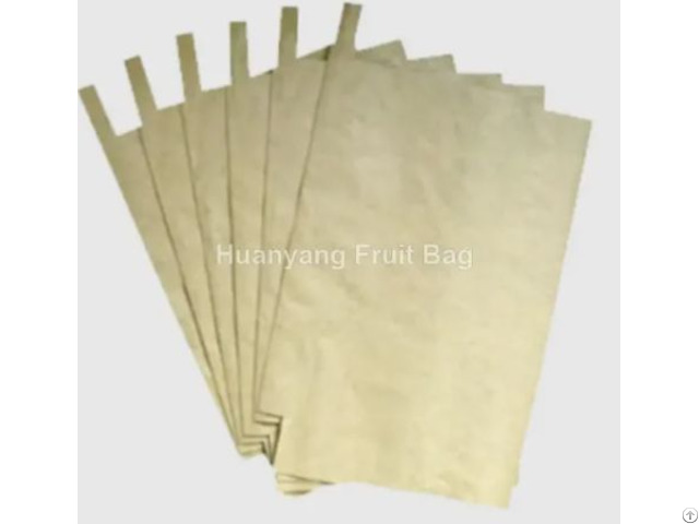 Yellow Mango Protection Bags