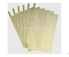 Yellow Mango Protection Bags