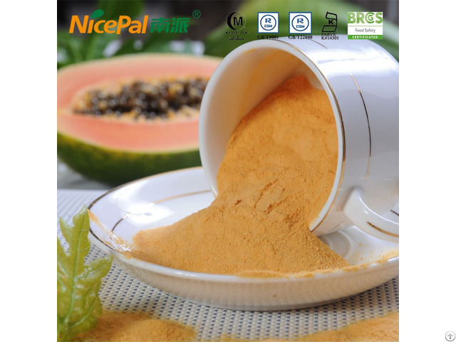 Papaya Powder For Bakery