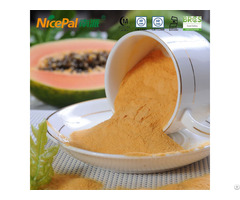 Papaya Powder For Bakery