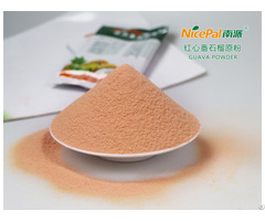 Guava Powder Factory Supply