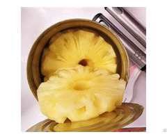 Best Canned Pineapple With High Quality From Vietnam