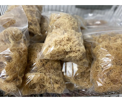 Natural Pure Dried Gold Seamoss Or Irish Sea Moss With High Quality From Vietnam