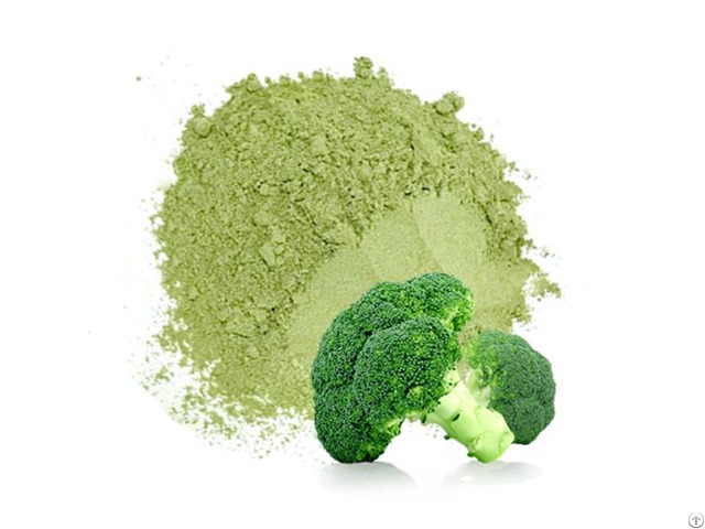 Best Price Pure Broccoli Power With High Quality From Vietnam