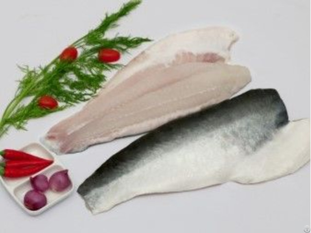 Pangasius Fillet Skin On With High Quality From Vietnam