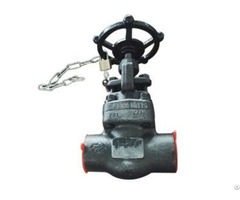 Sw End Globe Valve Asme A182 F91 Api 602 Trim 5 Dn 25 Pn 150