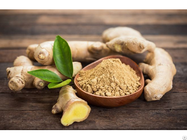 Ginger Powder With High Quality From Vietnam Whatsapp 84975262928 Helen