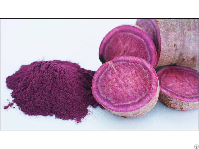 Atl Global Best Sell Purple Sweet Potato Yam Powder Whatsapp 84975262928 Helen