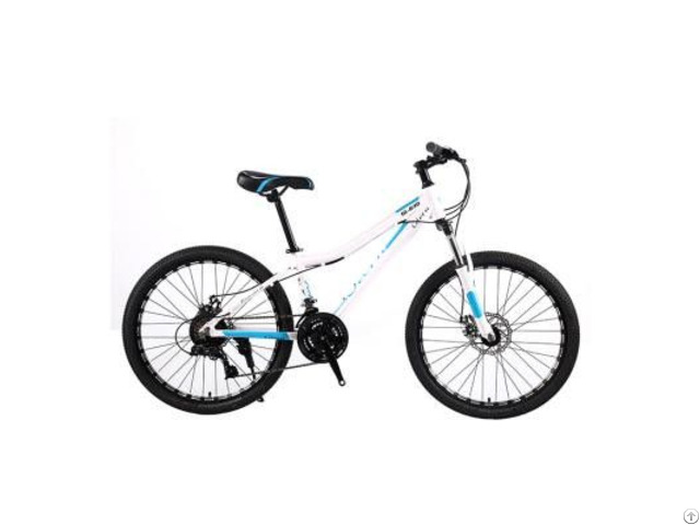 Wholesale Mountain Bike Factory Price