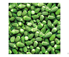 Atl Global Vietnam Frozen Okra With High Quality