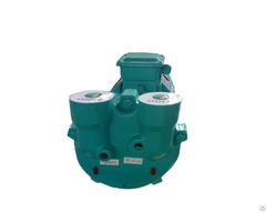 2bv Series Liquid Ring Vacuum Pumps