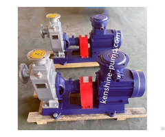 Corrosion Resistant Stainless Steel Self Priming Horizontal Pump