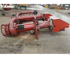 Tobee® 200sv Sp Vertical Slurry Pump