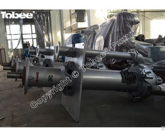 Tobee® 100rv Vertical Slurry Pump