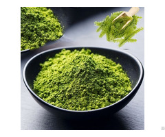 Natural Caulerpa Lentillifera Sea Grapes Powder With High Quality From Vietnam