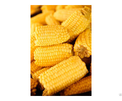 Frozen Cut Corn Fresh With High Quality From Vietnam