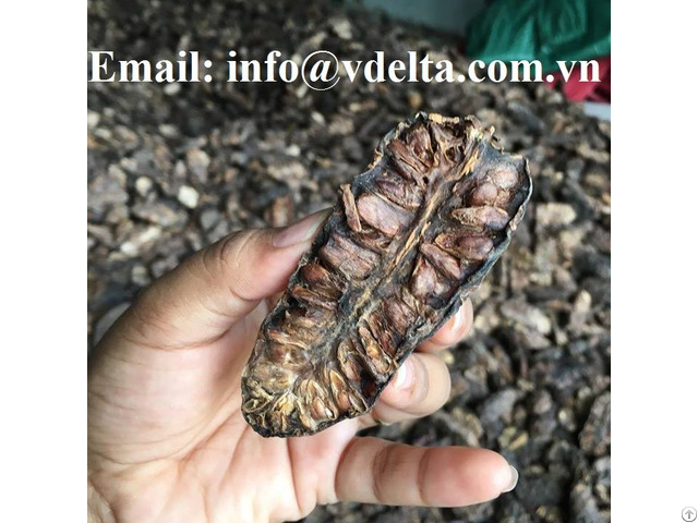 Dried Noni Fruit From Vietnam