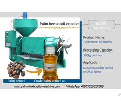 Small Scale Palm Kernel Oil Machine To Produce Cpko