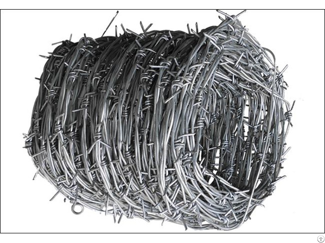 Galvanized Barbed Wire