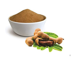 100% Pure Tamarind Powder With Best Price From Vietnam