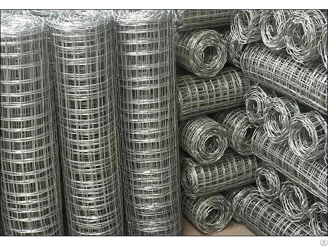 Galvanized Wire Mesh