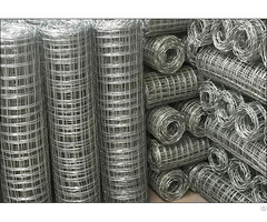 Galvanized Wire Mesh