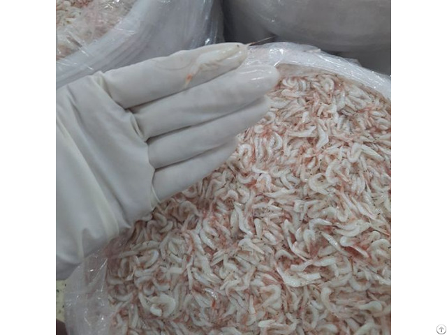 Viet Nam Salted Small Shrimp Krill Crustaceans