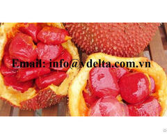 Lowest Price Gac Fruit Pulp And Aril Momordica Cochinchinensis