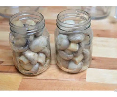 Best Selling Straw Mushrooms Pickled With High Quality From Vietnam