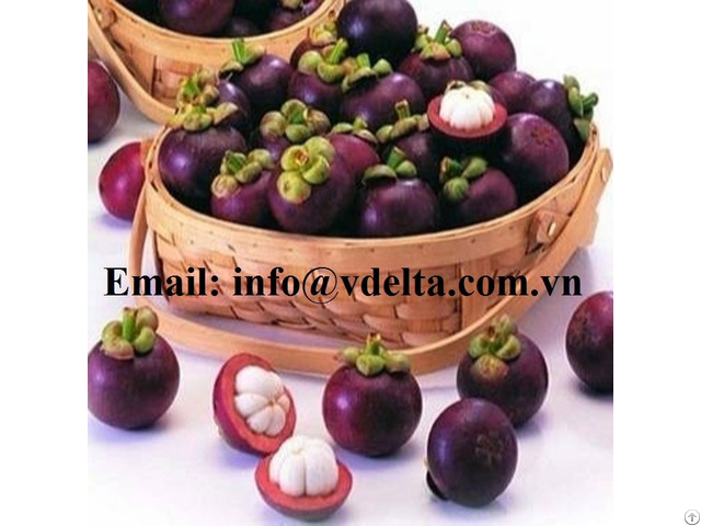 Fresh Mangosteen Tropical Fruits For Export From Vietnam