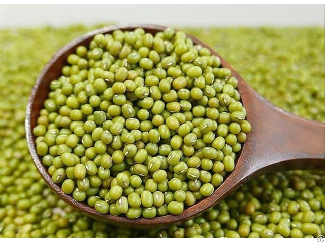 Dried Green Mung Beans Whole For Exporting From Vietnam