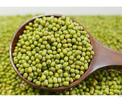 Dried Green Mung Beans Whole For Exporting From Vietnam