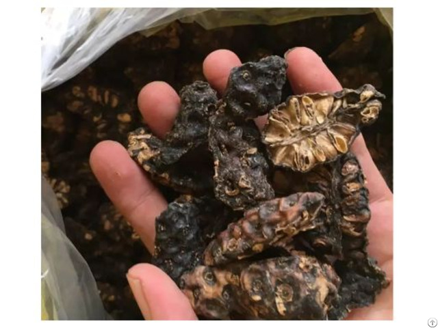 Ure Natural Dried Noni Slices From Vietnam