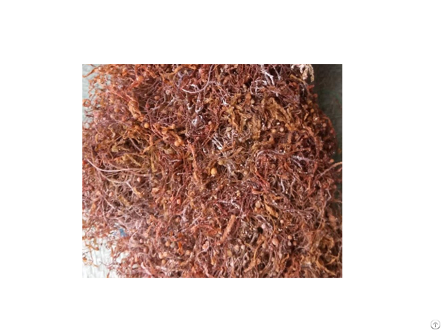100% Natural Dried Sargassum With High Quality From Vietnam