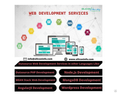 Outsource Web Development In India