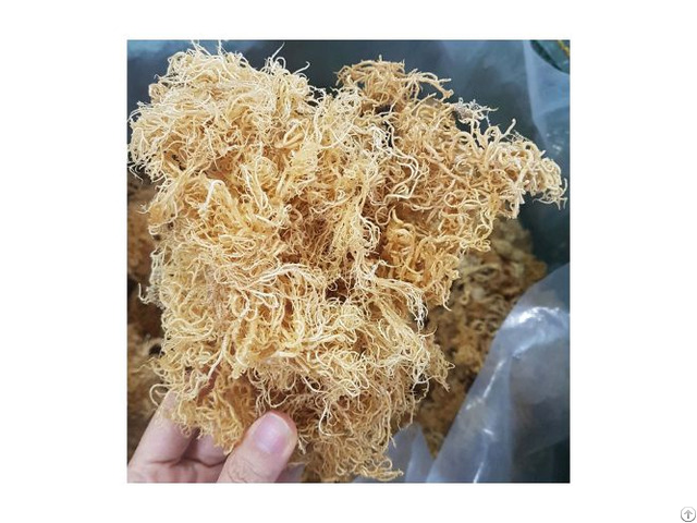 100% Pure Dried Seamoss Irishmoss From Vietnam High Quality Best Service